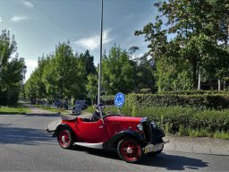 2019-Parel der Voorkempen-Bruno from Belgium